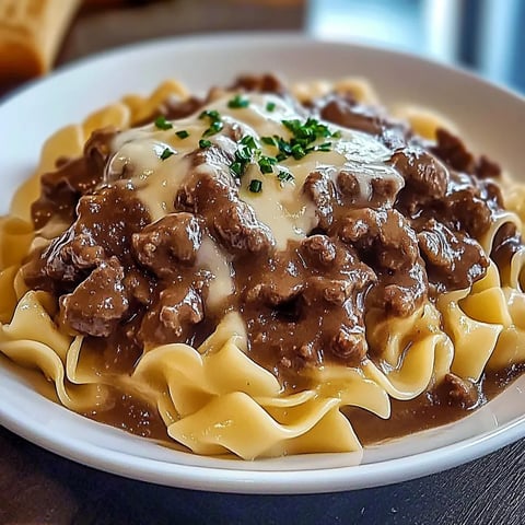 Beef Onion Noodles Bowl